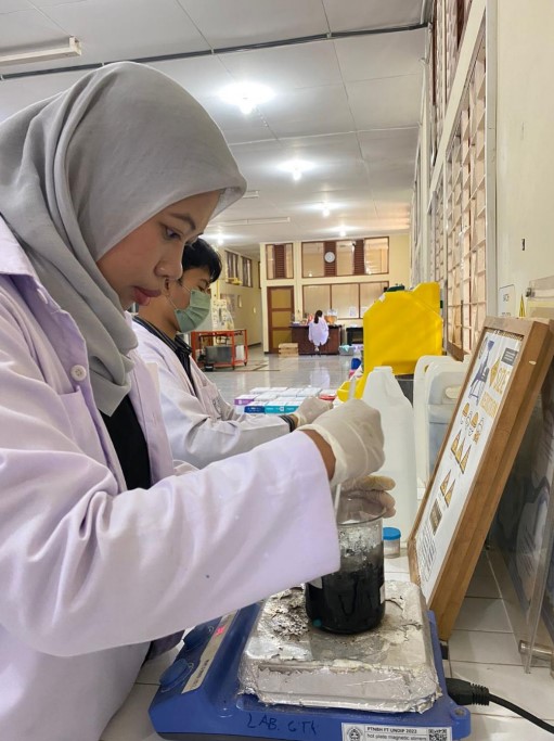 biochar modifikasi